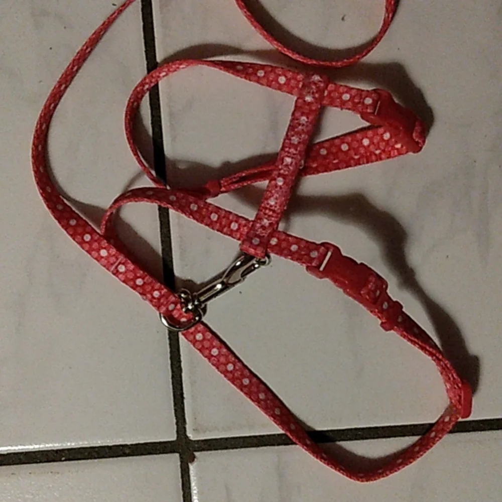 NWOT Coastal CAT harness only tried on my cat shes too old to teach!